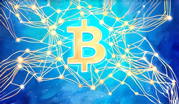 Image for section: Transaction Execution and Smart Contract Validation with SOL
